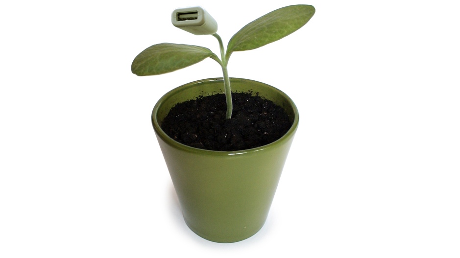 nextnature_usbseedling.jpg